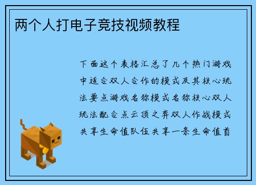 两个人打电子竞技视频教程